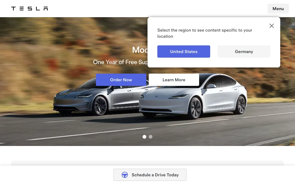 Tesla website preview
